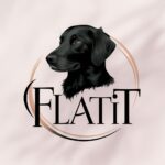 Forest flatties - metsän flatit, sileäkarvaiset noutajat, sileäkarvainen noutaja